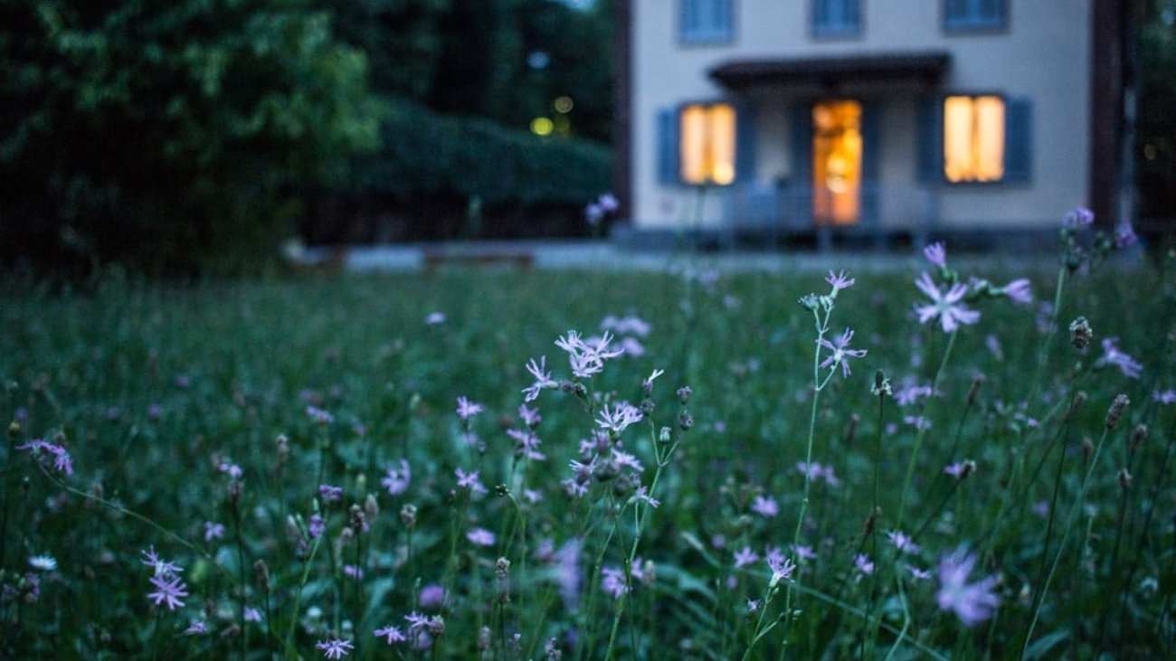Photo Smart home devices